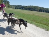 Tektoss Trike Fahrt mit 4 Hunden - der Start.